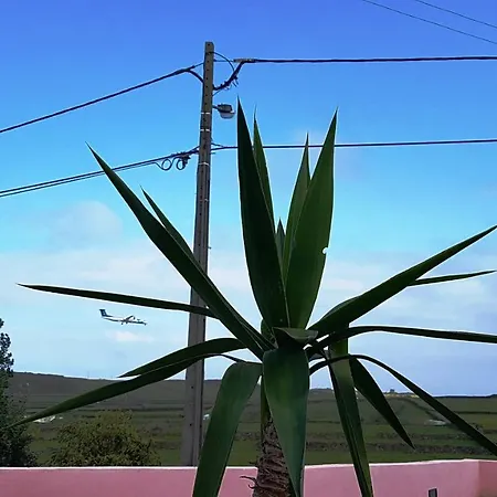 The Music House, Ilha Terceira, Acores Апартаменты Прайя-да-Витория